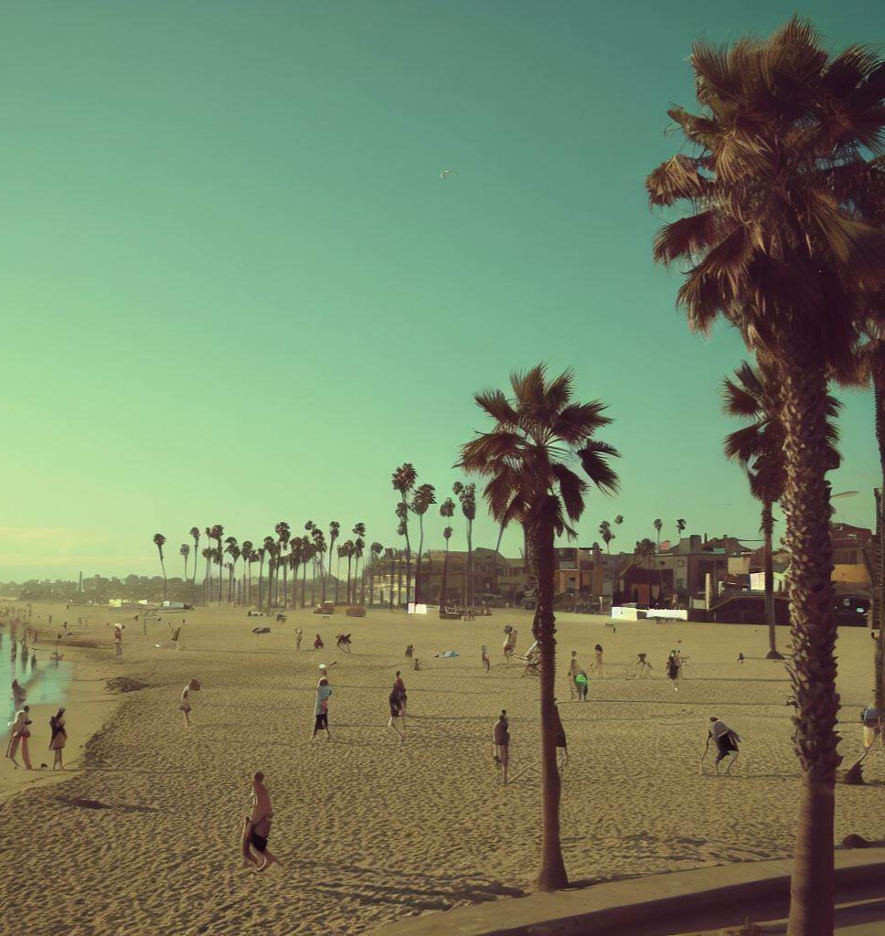 Get Lifted and Check Out a Venice Beach Drum Circle - CanEx Delivery